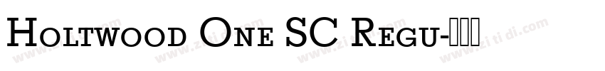 Holtwood One SC Regu字体转换